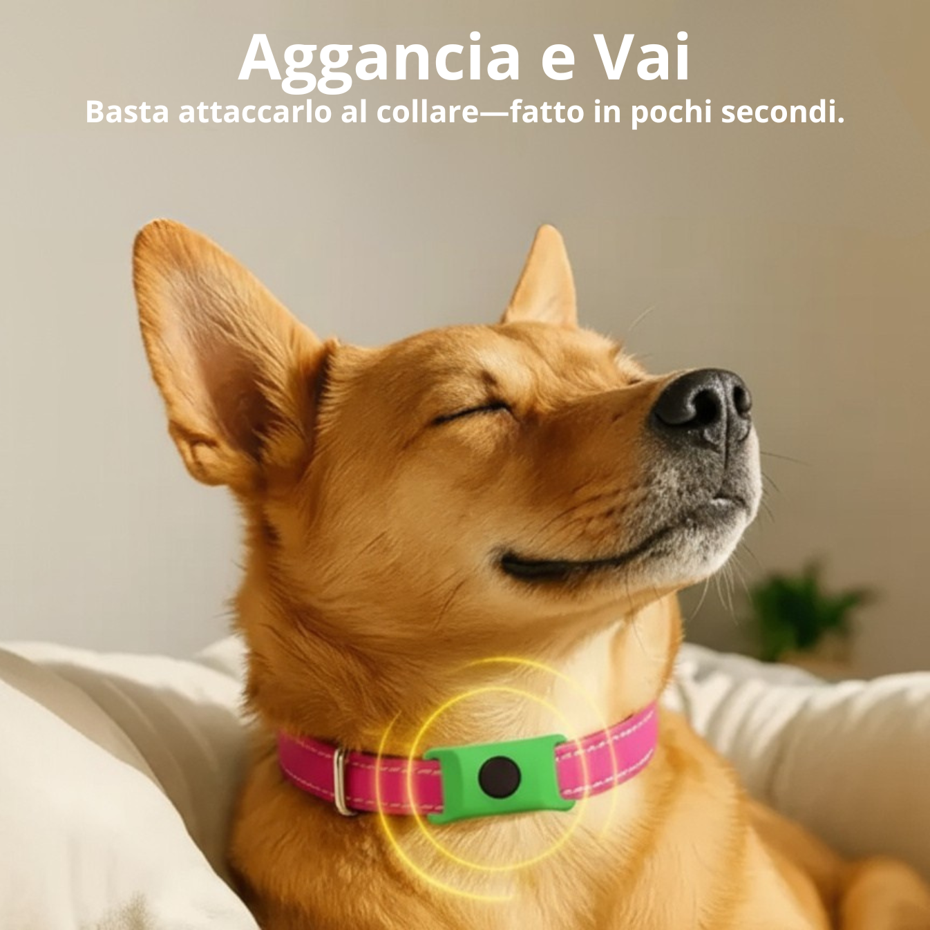 Hugging Cat Canvas Coin Purse