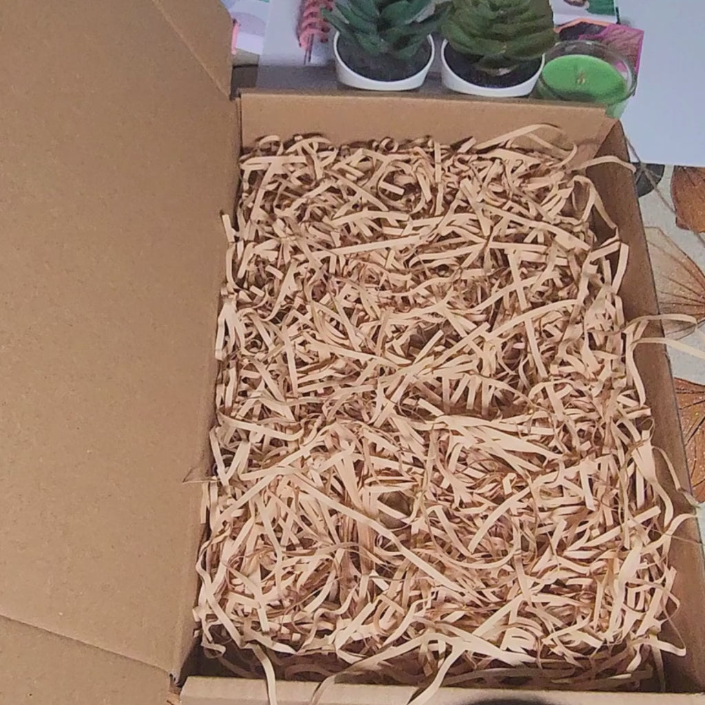 The Quiet Time Kit — Stationery Bundle For WOMEN